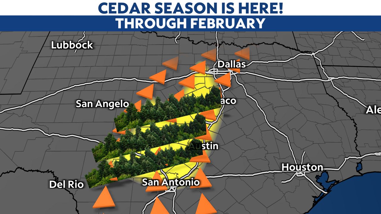 Cedar season returns to Texas. Here’s how to survive